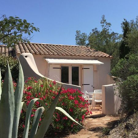 פורטו-וישיו Residence Stella D'Oro מראה חיצוני תמונה