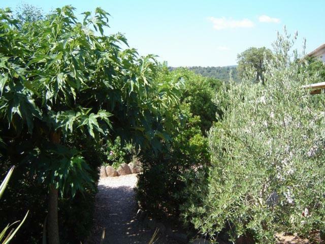פורטו-וישיו Residence Stella D'Oro מראה חיצוני תמונה